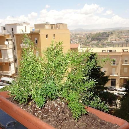 Casa Cristal Apartment Agrigento Exterior photo